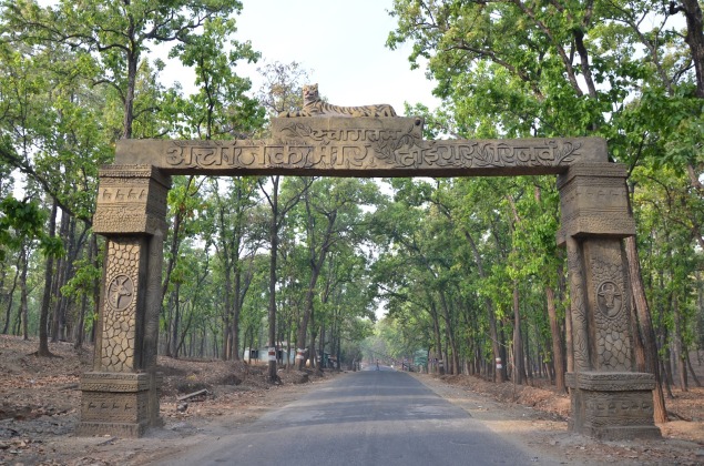 Achanakmar Wildlife Sanctuary in Chhattisgarh